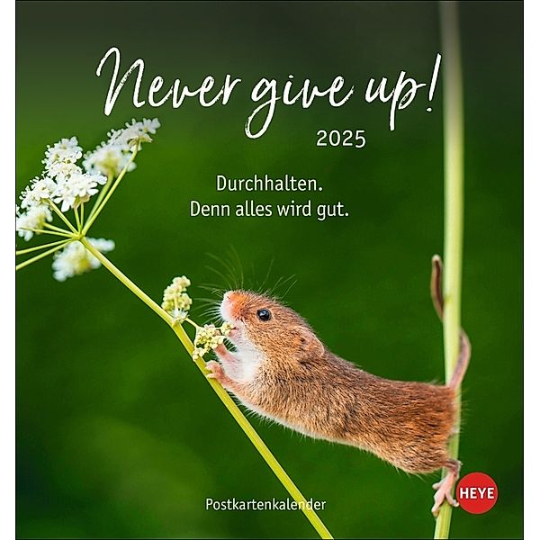 Never give up! Postkartenkalender 2025