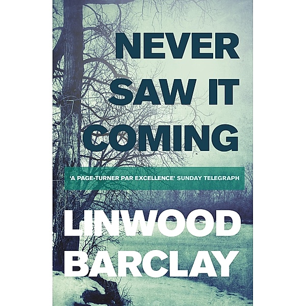 Never Saw it Coming, Linwood Barclay