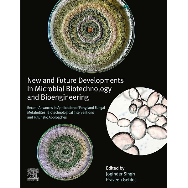 New and Future Developments in Microbial Biotechnology and Bioengineering