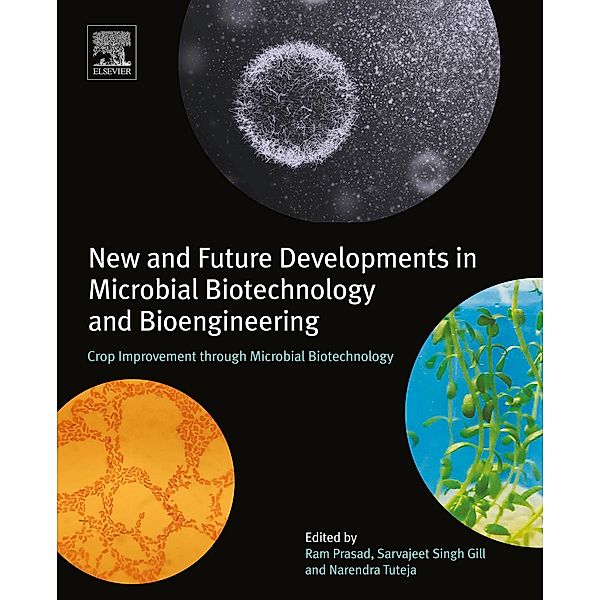 New and Future Developments in Microbial Biotechnology and Bioengineering