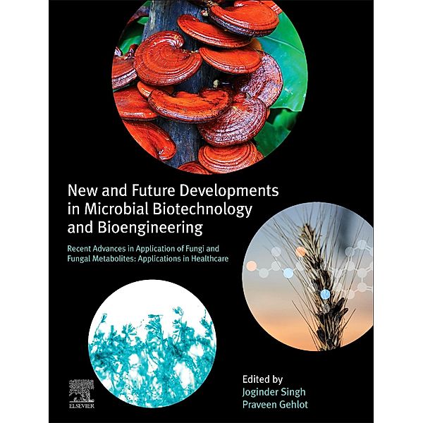 New and Future Developments in Microbial Biotechnology and Bioengineering