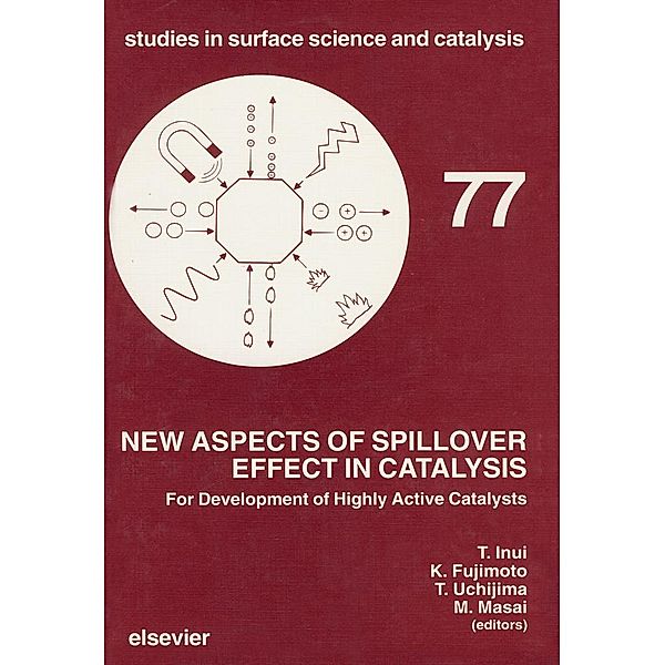 New Aspects of Spillover Effect in Catalysis
