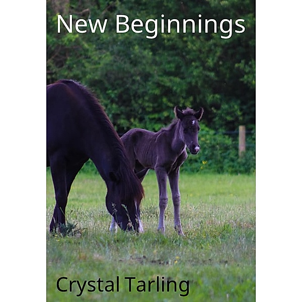 New Beginnings, Crystal Tarling