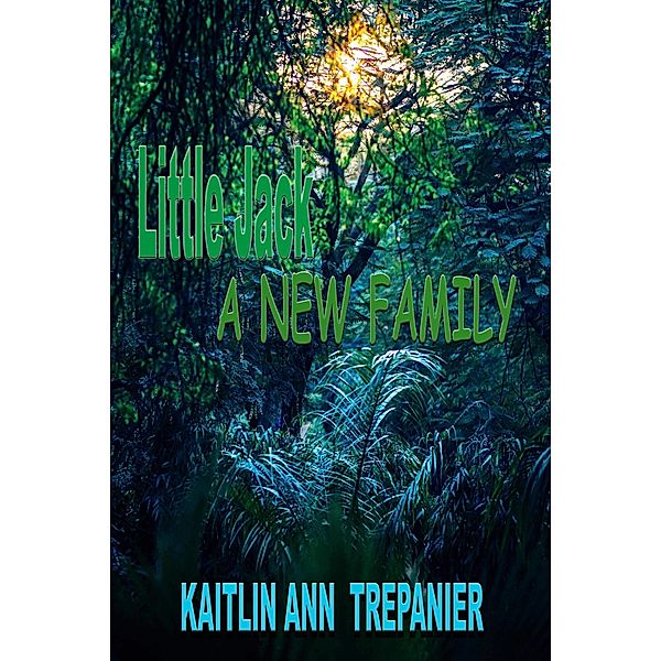 New Family Little Jack Book 6 / Kaitlin Ann Trepanier, Kaitlin Ann Trepanier