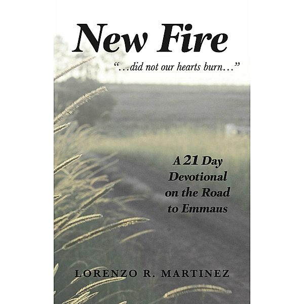 New Fire, Lorenzo R. Martinez