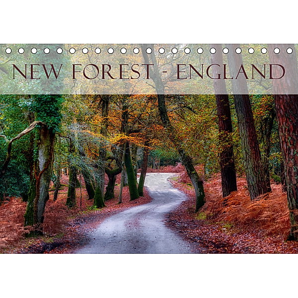 New Forest - England (Tischkalender 2019 DIN A5 quer), Joana Kruse