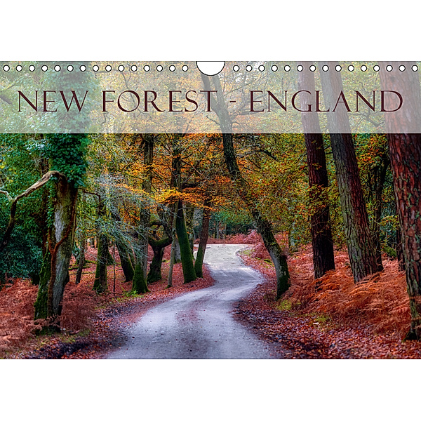 New Forest - England (Wandkalender 2019 DIN A4 quer), Joana Kruse