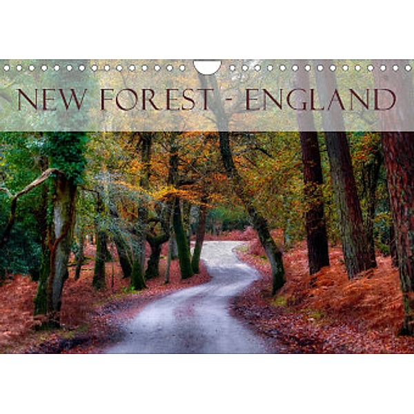 New Forest - England (Wandkalender 2022 DIN A4 quer), Joana Kruse