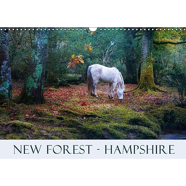 New Forest Hampshire (Wall Calendar 2017 DIN A3 Landscape), Joana Kruse