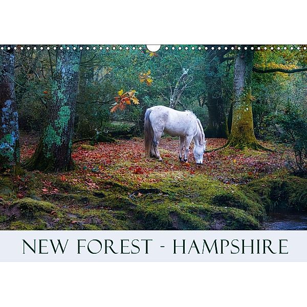 New Forest Hampshire (Wall Calendar 2021 DIN A3 Landscape), Joana Kruse