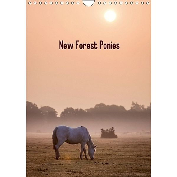 New Forest Ponies (Wall Calendar 2017 DIN A4 Portrait), Kerto Koppel-Catlin