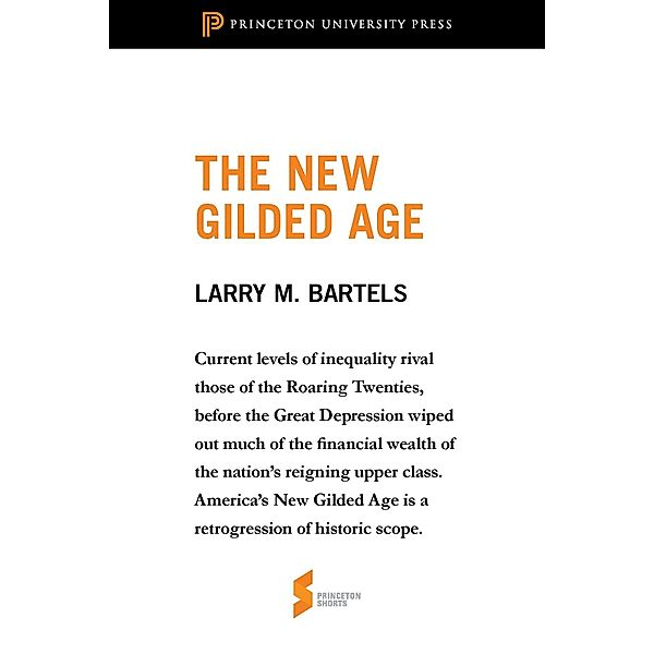 New Gilded Age / Princeton University Press, Larry M. Bartels