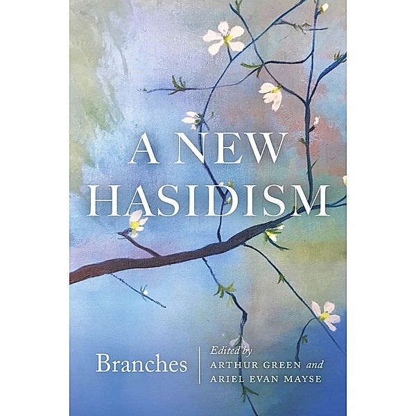 New Hasidism: Branches