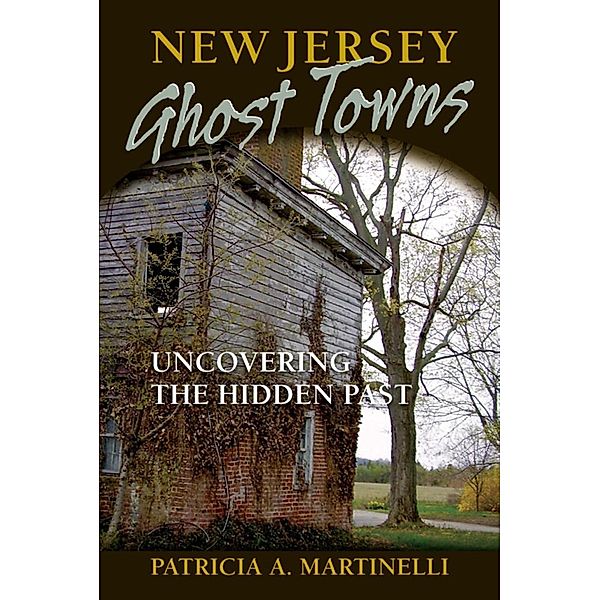 New Jersey Ghost Towns, Patricia A. Martinelli