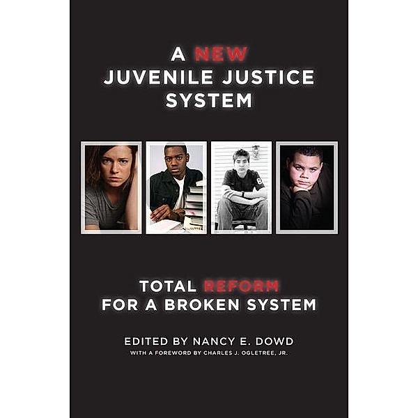 New Juvenile Justice System
