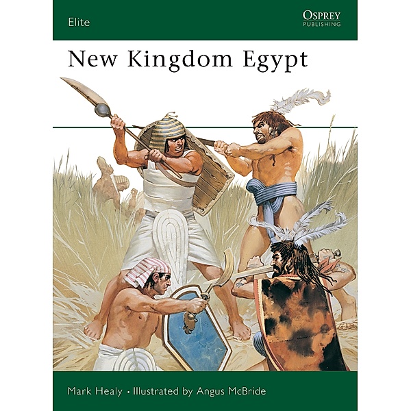 New Kingdom Egypt, Mark Healy