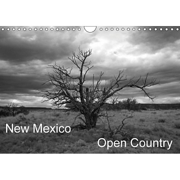 New Mexico Open Country (Wall Calendar 2017 DIN A4 Landscape), Isabelle duMont