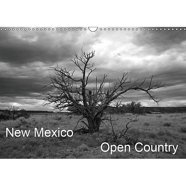 New Mexico Open Country (Wall Calendar 2019 DIN A3 Landscape), Isabelle duMont