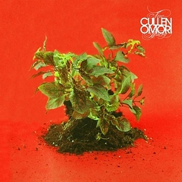 New Misery (Vinyl), Cullen Omori