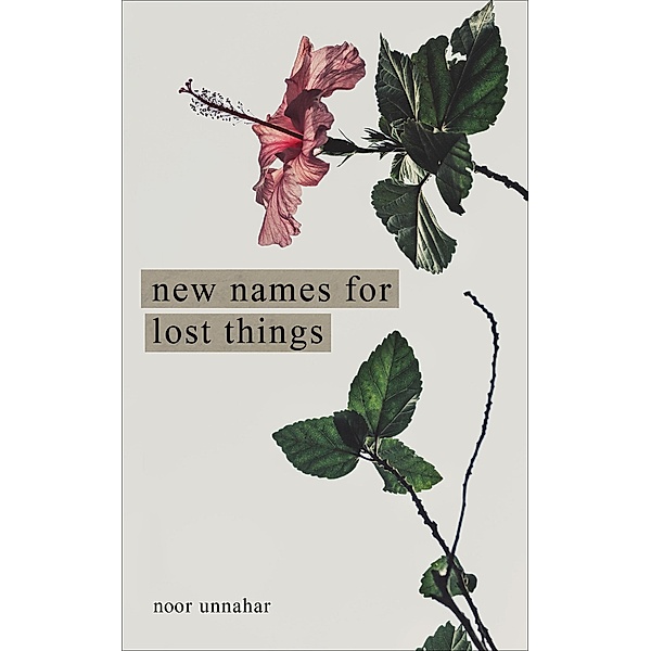 New Names for Lost Things, Noor Unnahar