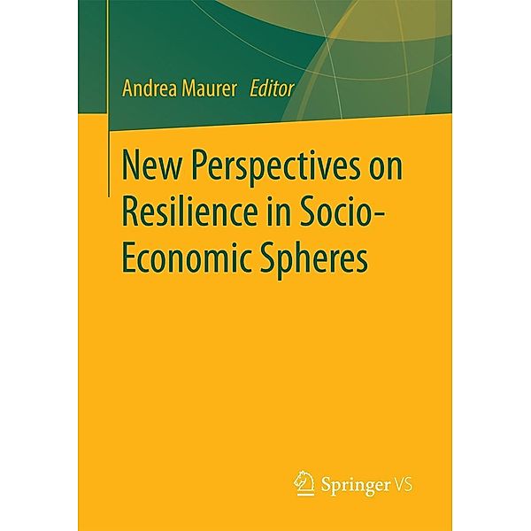 New Perspectives on Resilience in Socio-Economic Spheres