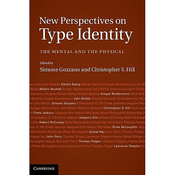 New Perspectives on Type Identity