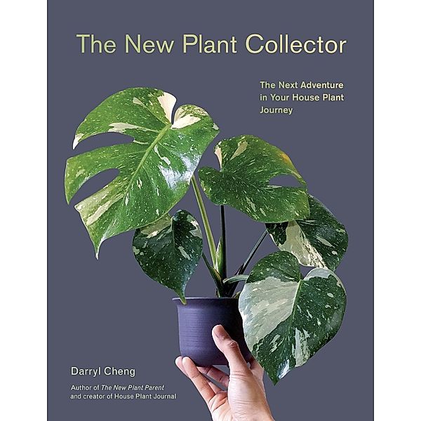 New Plant Collector, Darryl Cheng