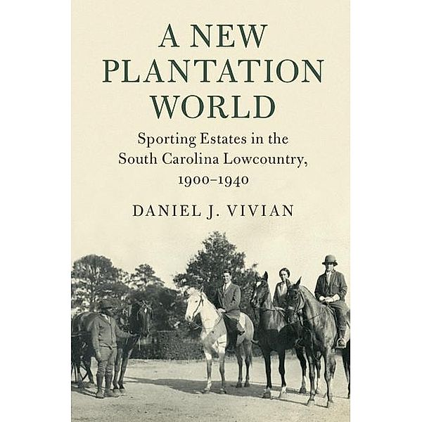 New Plantation World / Cambridge Studies on the American South, Daniel J. Vivian