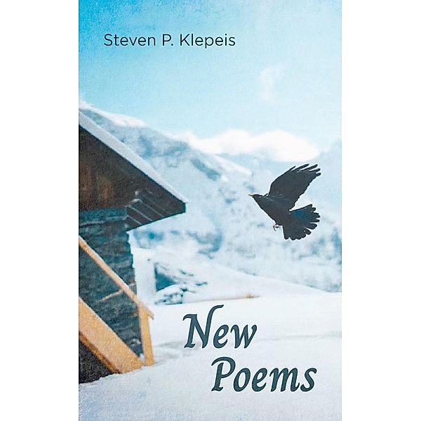 New Poems, Steven P. Klepeis