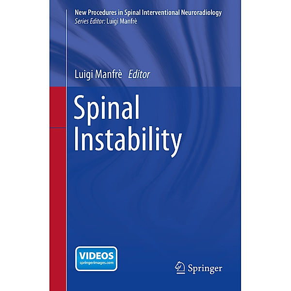 New Procedures in Spinal Interventional Neuroradiology / Spinal Instability