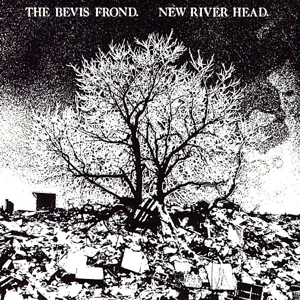 New River Head, The Bevis Frond