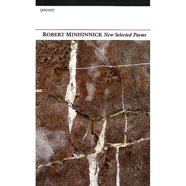 New Selected Poems, Robert Minhinnick