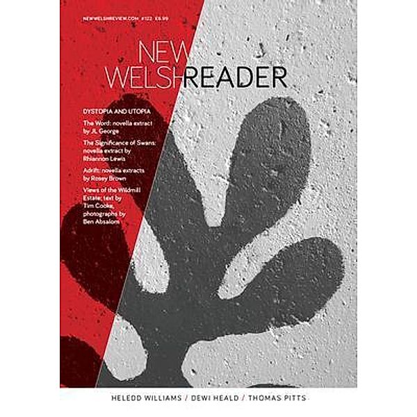 New Welsh Reader 122 / New Welsh Review Bd.122, George Jl, Brown Rosey