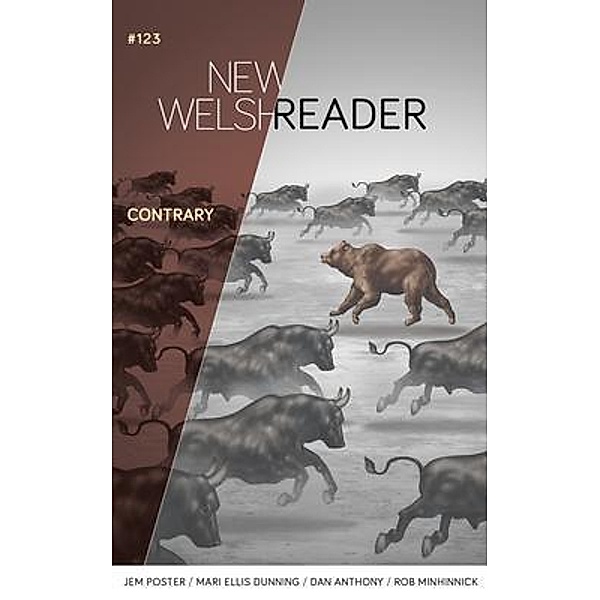 New Welsh Reader / New Welsh Review Bd.123, Robert Minhinnick, Loy Nichols Jeb