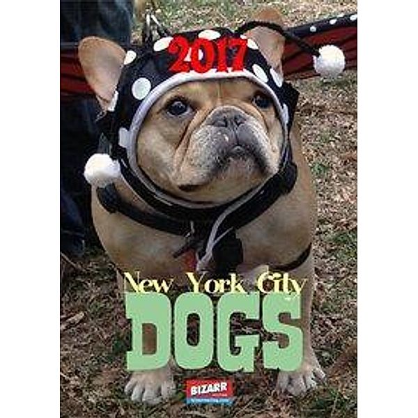 New York City Dogs 2017