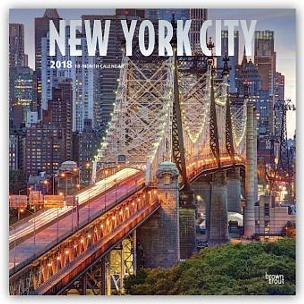 New York City - New York 2018 - 18-Monatskalender mit freier TravelDays-App, BrownTrout Publisher