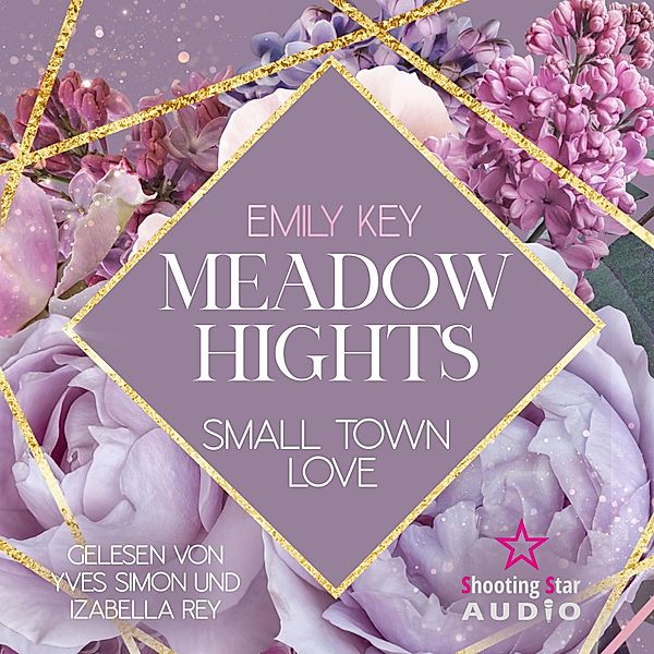 New York Gentlemen - 6 - Meadow Hights: Small Town Love, Emily Key