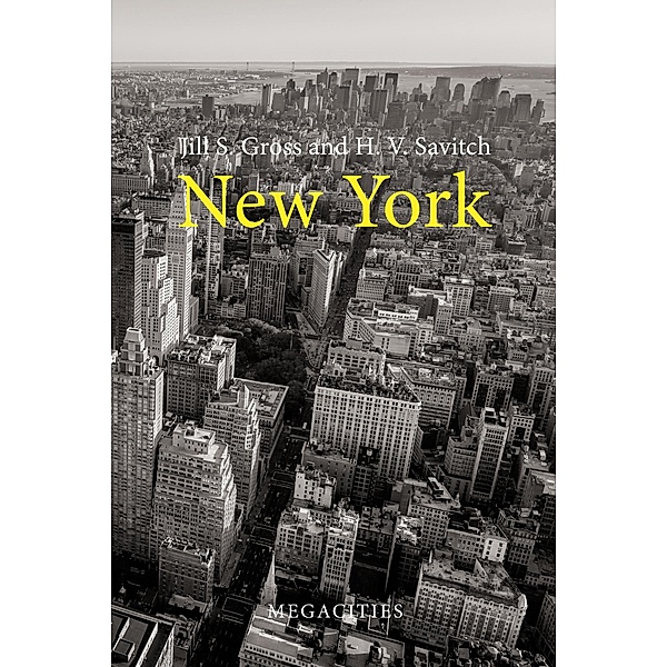 New York / Megacities, Jill S. Gross, H. V. Savitch