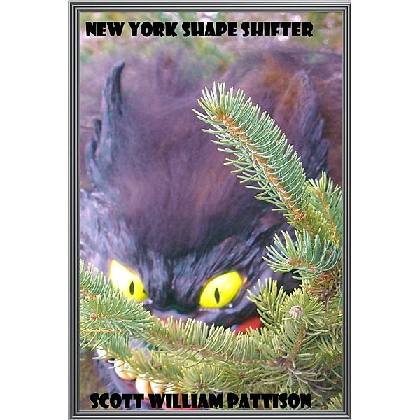 New York Shape Shifter, Scott William Pattison