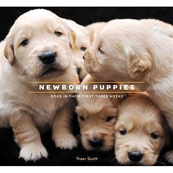 Newborn Puppies, Traer Scott