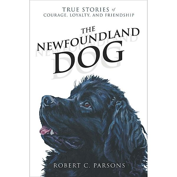 Newfoundland Dog, Robert C. Parsons