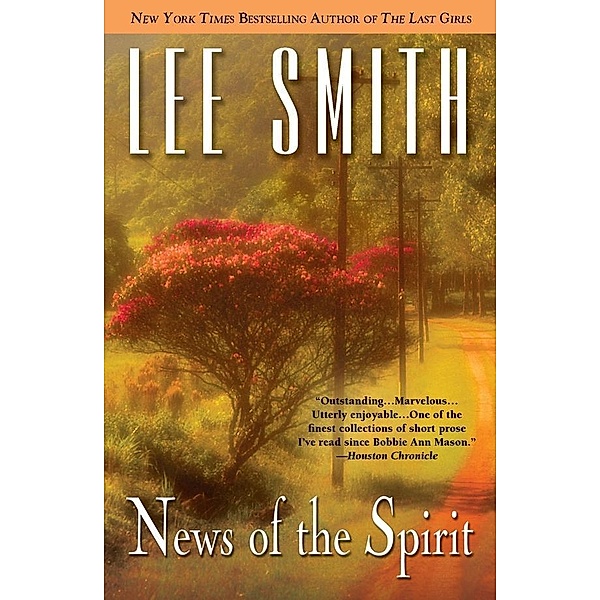 News of the Spirit, Lee Smith