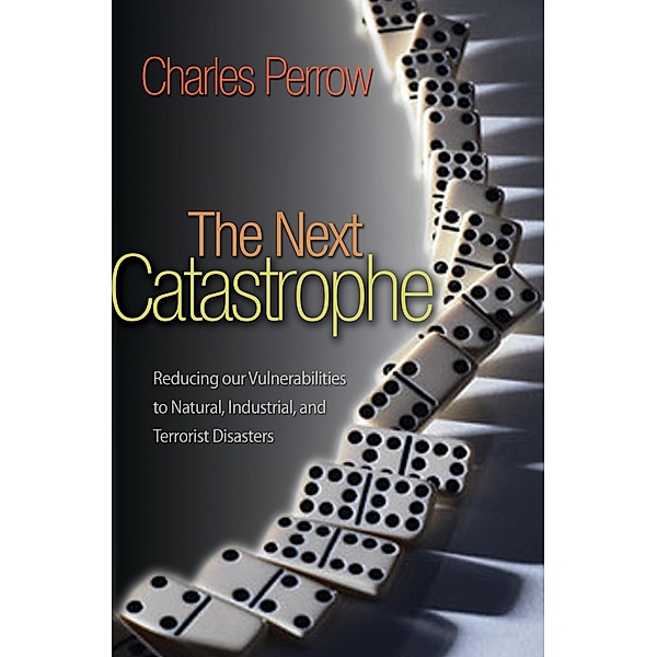 Next Catastrophe, Charles Perrow