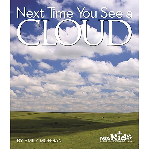 Next Time You See a Cloud, Emily Morgan