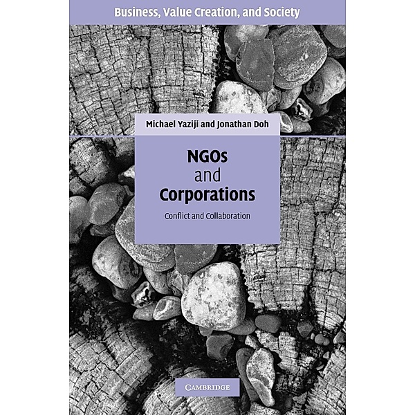 NGOs and Corporations, Michael Yaziji, Jonathan Doh