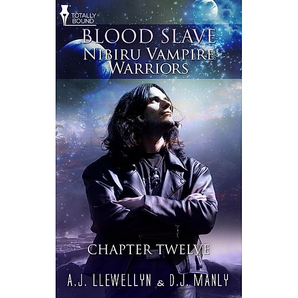 Nibiru Vampire Warriors: Chapter Twelve / Totally Bound Publishing, A. J. Llewellyn, D. J. Manly