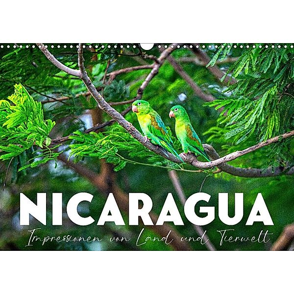 Nicaragua - Impressionen von Land und Tierwelt. (Wandkalender 2023 DIN A3 quer), SF