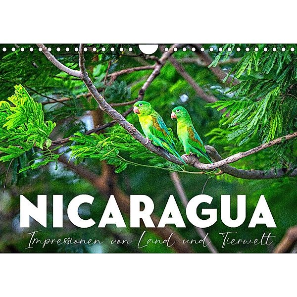 Nicaragua - Impressionen von Land und Tierwelt. (Wandkalender 2023 DIN A4 quer), SF