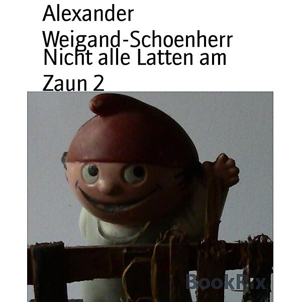 Nicht alle Latten am Zaun 2, Alexander Weigand-Schoenherr