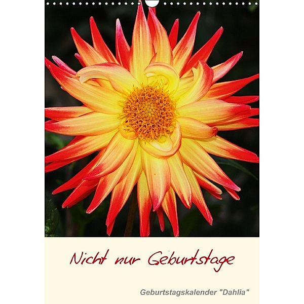 Nicht nur Geburtstage - Geburtstagskalender Dahlia (Wandkalender immerwährend DIN A3 hoch), Arie Kruit